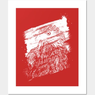 d brushed Eagle Posters and Art